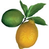 limon-20130329122310