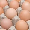 yumurta-eggs-20130329110731