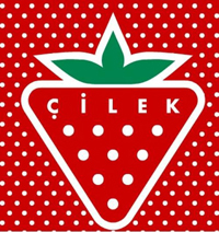 Çilek Logo