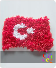 Türk Bayrağı Yapımı