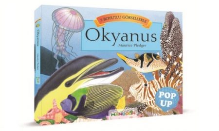3d-okyanus