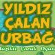 yildiz-calan-kurbaga