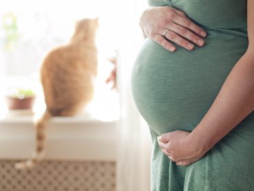 Hamilelikte evcil hayvan bakımı