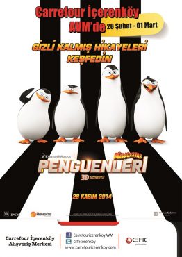 madagaskar-penguenleri