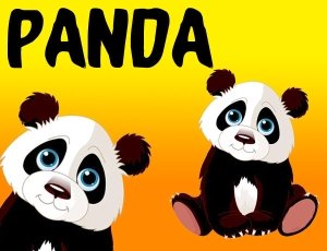 kücük-pandalar