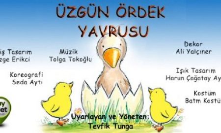 üzgün-ördek-yavrusu