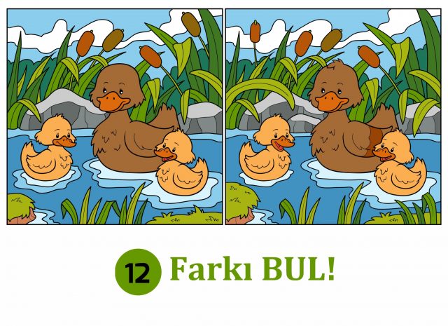 12-farki-bul