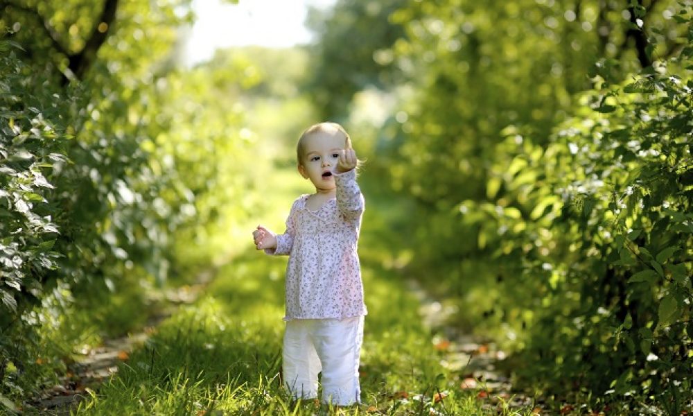 Bolu'da Bebek Ormanı Kuruldu - Cicicee