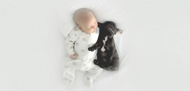 Bebek ve Köpek Dostluğu