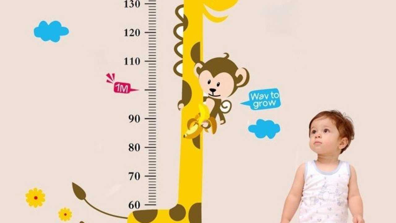 Измерение детей до года. Детский измеритель роста. Измерение роста ребенка. Линейка роста для детей. Дети по росту.