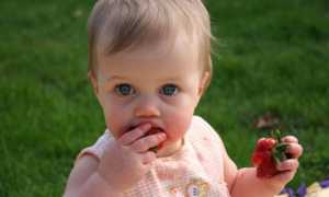 Bebekler Ne Zaman Taneli Yiyecekleri Yiyebilir?