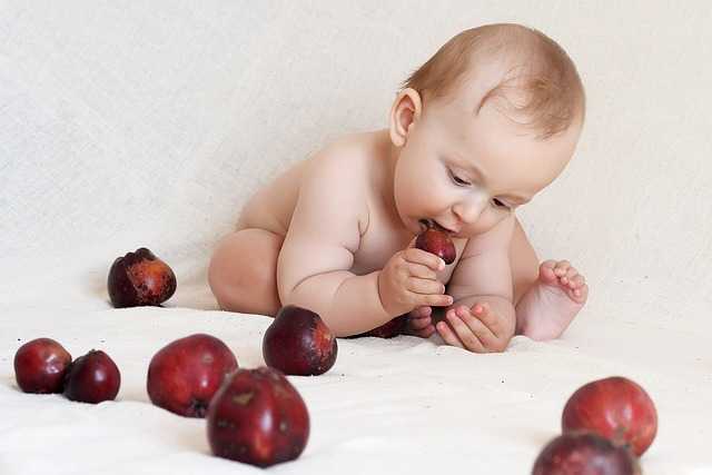 Bebekler Ne Zaman Taneli Yiyecekleri Yiyebilir?