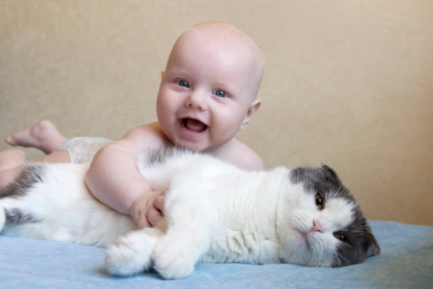 Kediler bebeklere saldırır mı?